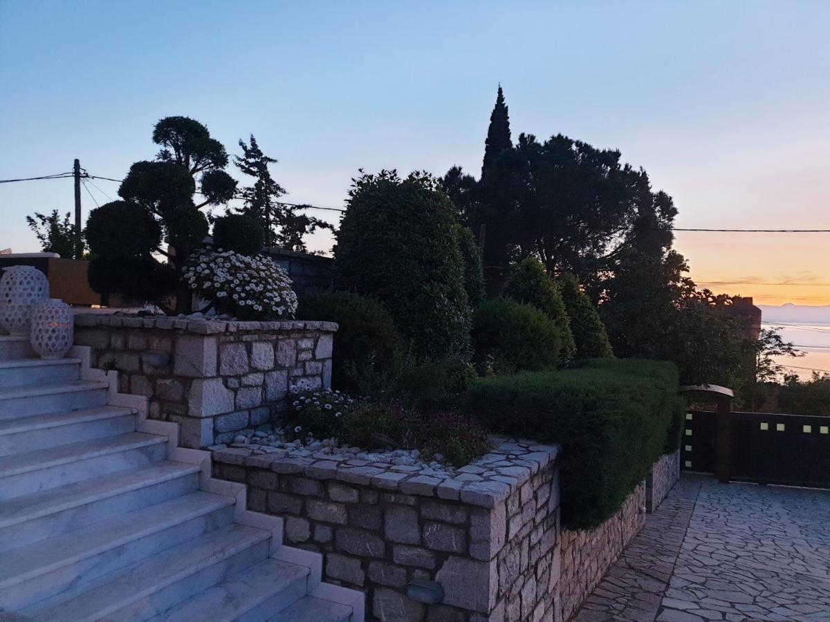 Elaianthos קלמאטה